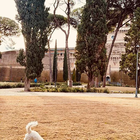 Campo De' Fiori Eleonorhouse Lägenhet Rom